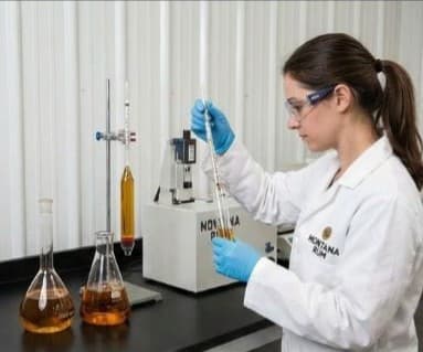 Reino Unido - Influencia & Estándares - 1